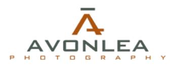 Avonlea Studio Photography
